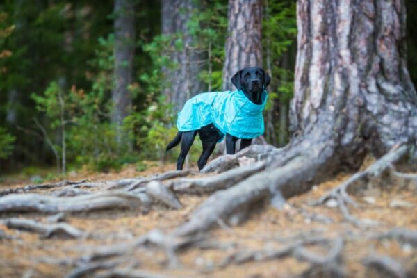 Rukkapets Hase Raincoat Turquoise - Afbeelding 4