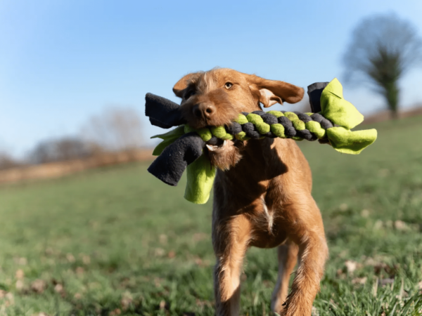 Trendpet - Bringsel Tug Toy - Afbeelding 2