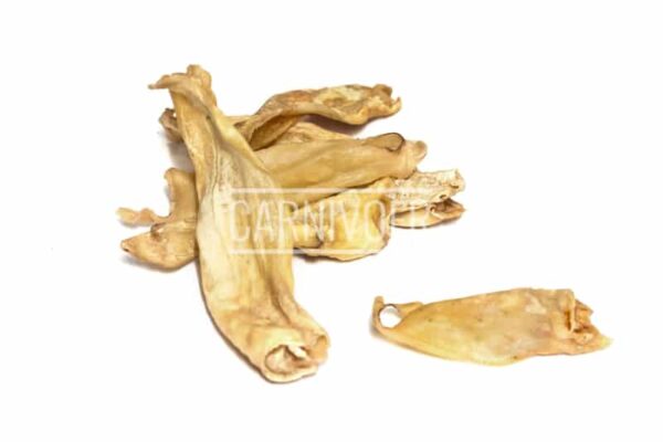 Carnivoer Lamsoren 100 gr