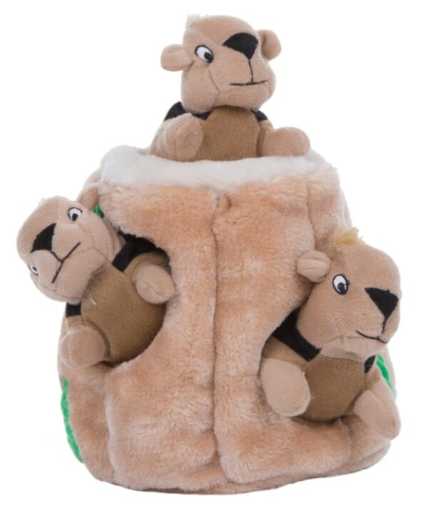 Outward Hound Hide a squirrel medium - Afbeelding 3