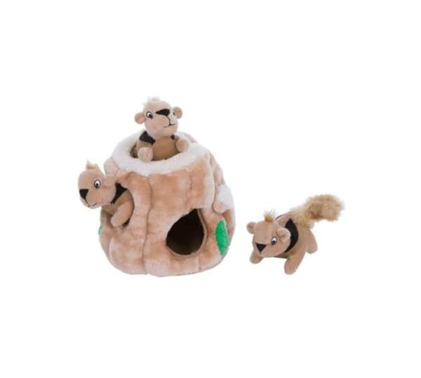 Outward Hound Hide a squirrel medium