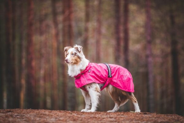Rukkapets Hase Raincoat Hot Pink - Afbeelding 4