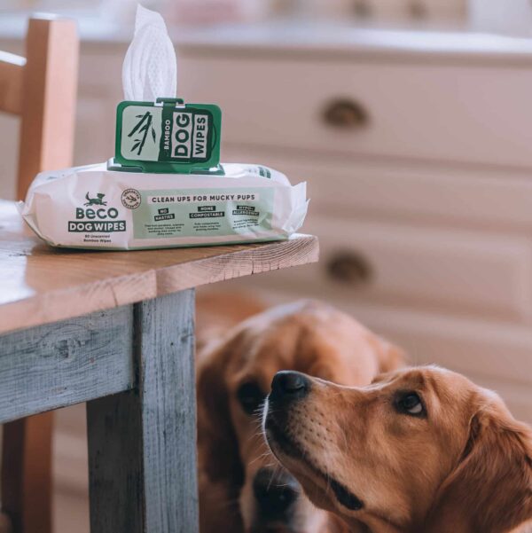 Beco Bamboo Dog Wipes - Geurloos - 80 st - Afbeelding 3