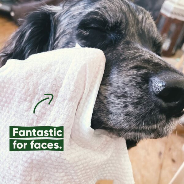 Beco Bamboo Dog Wipes - Geurloos - 80 st - Afbeelding 4