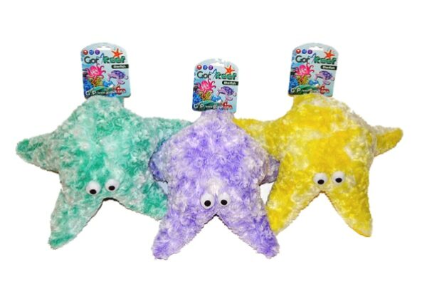 GorPets - Gor Reef Starfish
