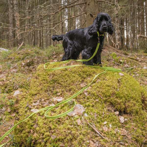 Rukkapets - Grip tracking Leash - Afbeelding 3