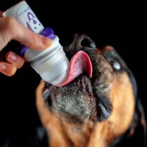Doggyroller met karabijnhaak - Afbeelding 3