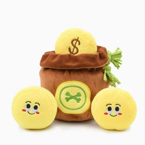 Hugsmart - Pirate Pups – Treasure Bag