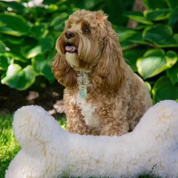 Hugglehounds Hugglefleece bone - Afbeelding 3
