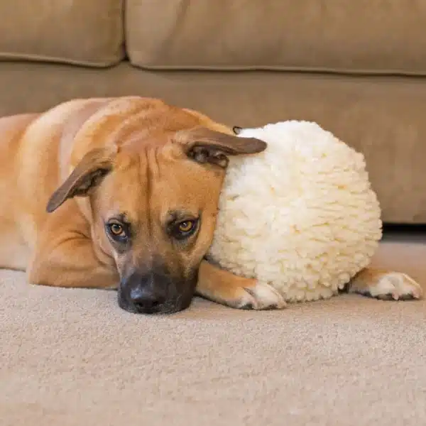 Hugglehounds Hugglefleece ball - Afbeelding 3
