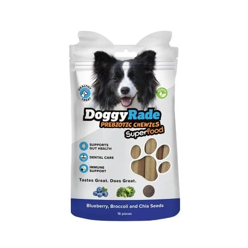 DoggyRade Prebiotic Superfood Chewies met Bosbes & Broccoli 100 gr