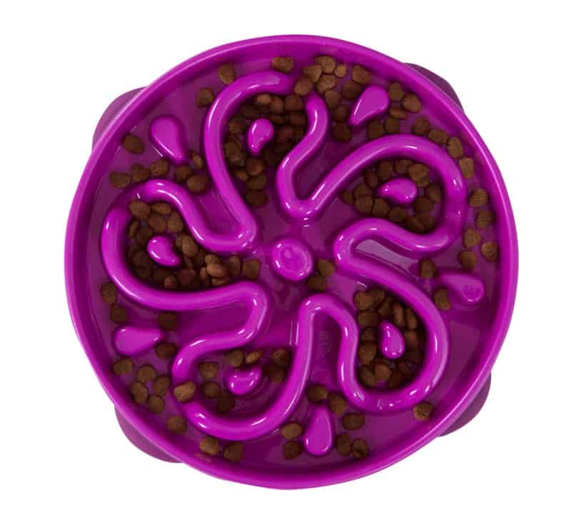 Outward Hound Fun Feeder/Slo Bowl large Lila